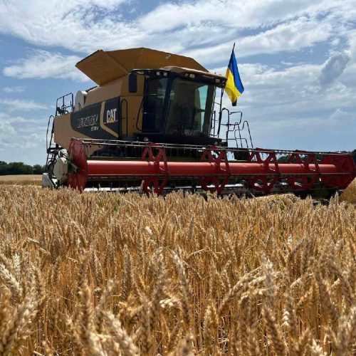 Мінус 10% до врожаю. Плюс 100% до сенсу переробки зерна в Україні